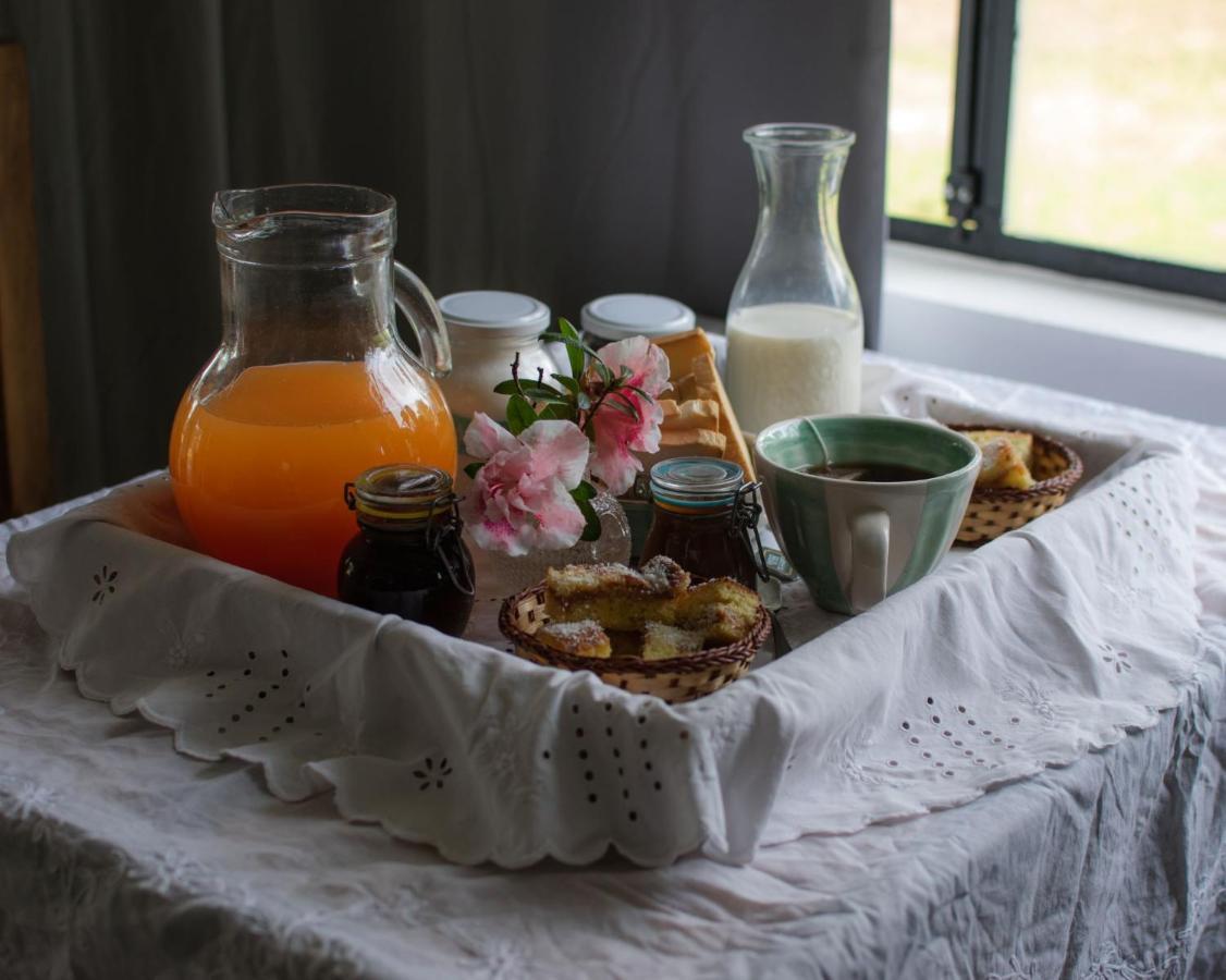 الشقق الفندقية كونكورديافي  Establecimiento La Angelica المظهر الخارجي الصورة